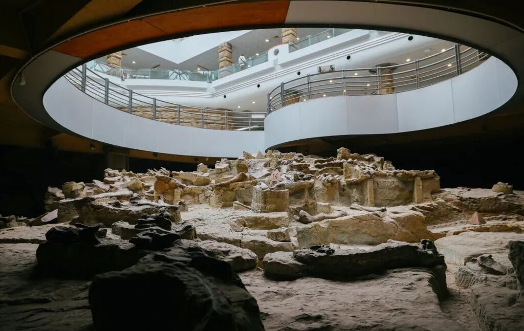 保留完好的恐龙遗迹 记者 宋姿熠 摄.jpg