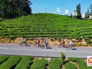 从一杯“穹窿银毫”到一条山地速降赛道——荣县铁厂镇农文旅体融合全链观察