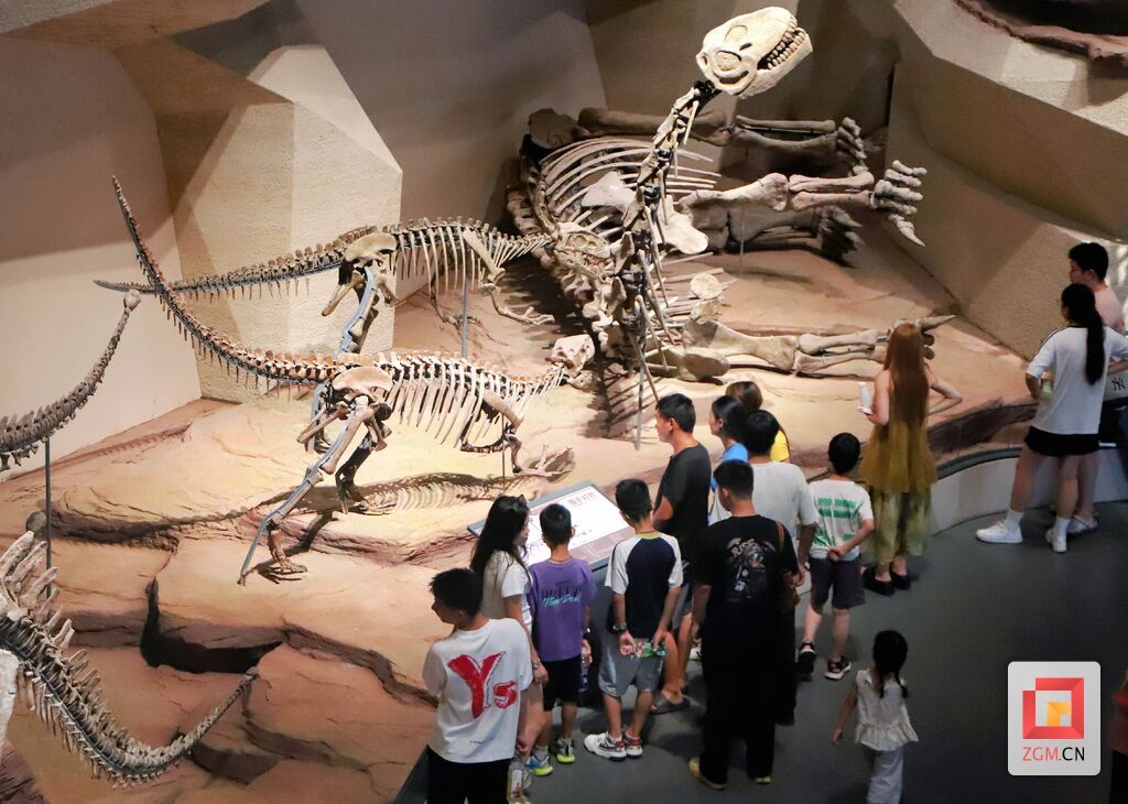 游客参观遗址馆.jpg