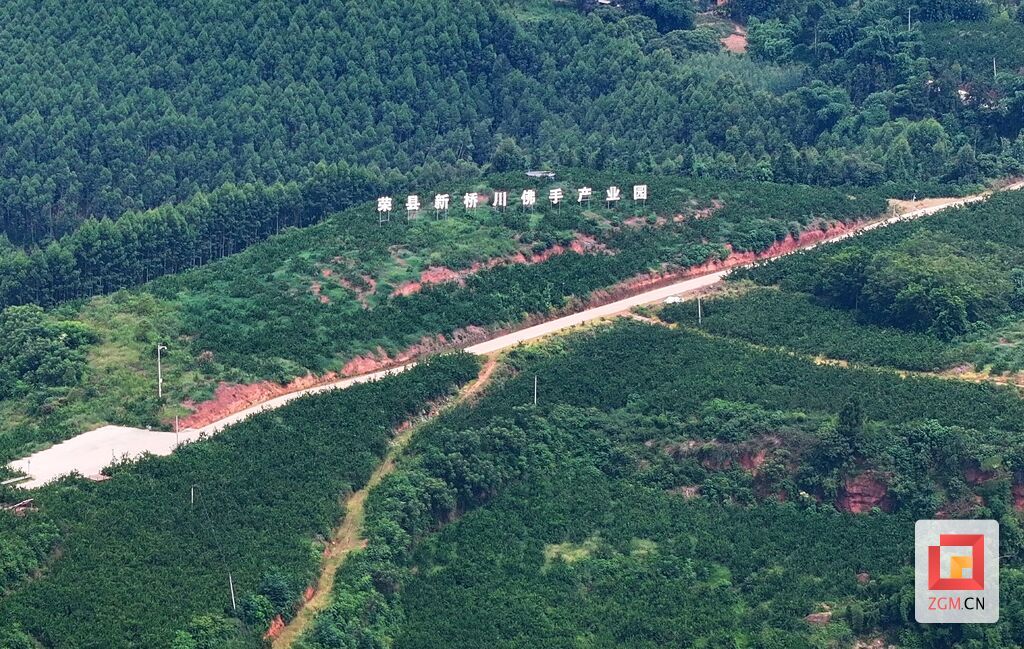微信图片_2025-08-21_213230_232.jpg