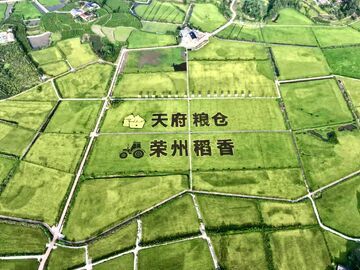 乡村振兴！自贡两个省级现代农业园区跻身五星级！