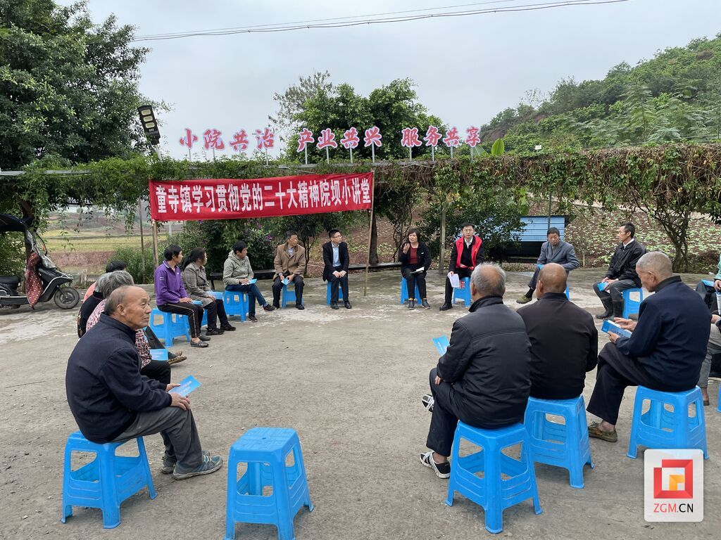 童寺鎮(zhèn)開展黨的二十大院壩會(huì)-東禪村百靈小院.jpg