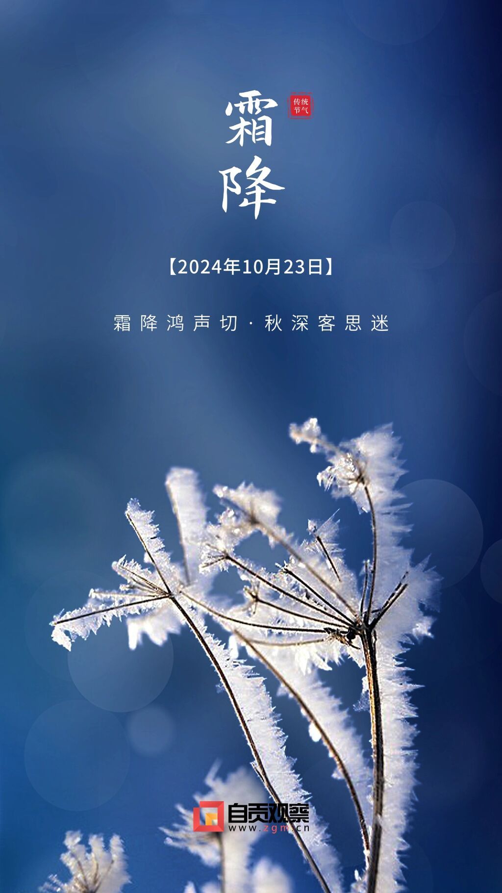霜降節(jié)氣祝福手機(jī)海報(bào)(1)(2).jpg
