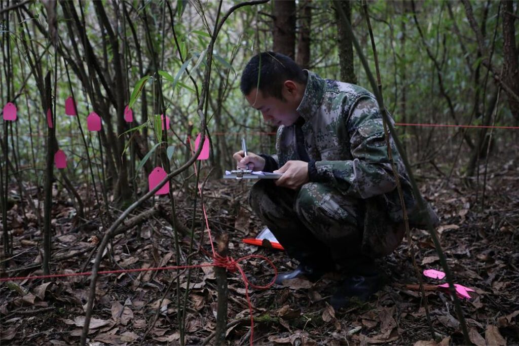 在泥巴山廊道开展样方监测.jpg