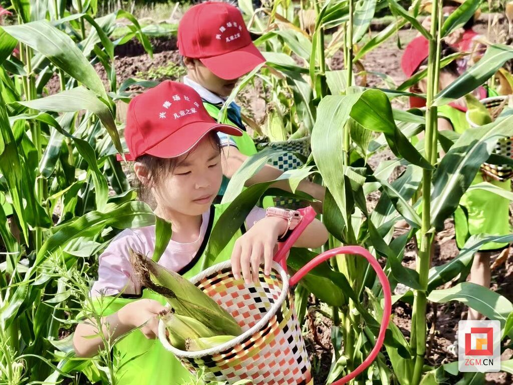 微信图片_20250721183336.jpg