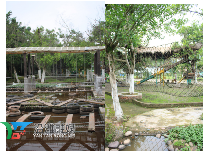 图片31.png