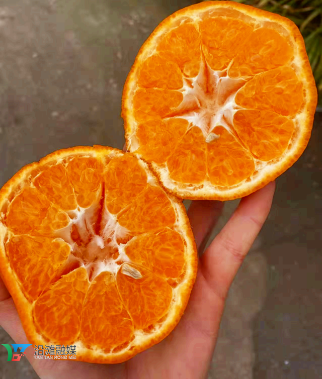 微信图片_20220303111317.png