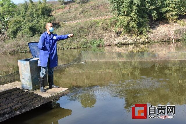 鱼塘喂料.JPG
