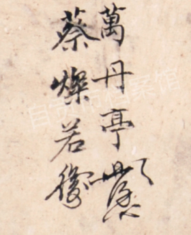 圖片