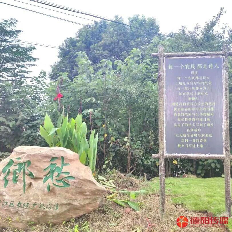 星光村诗意浓浓。 受访者供图.jpg