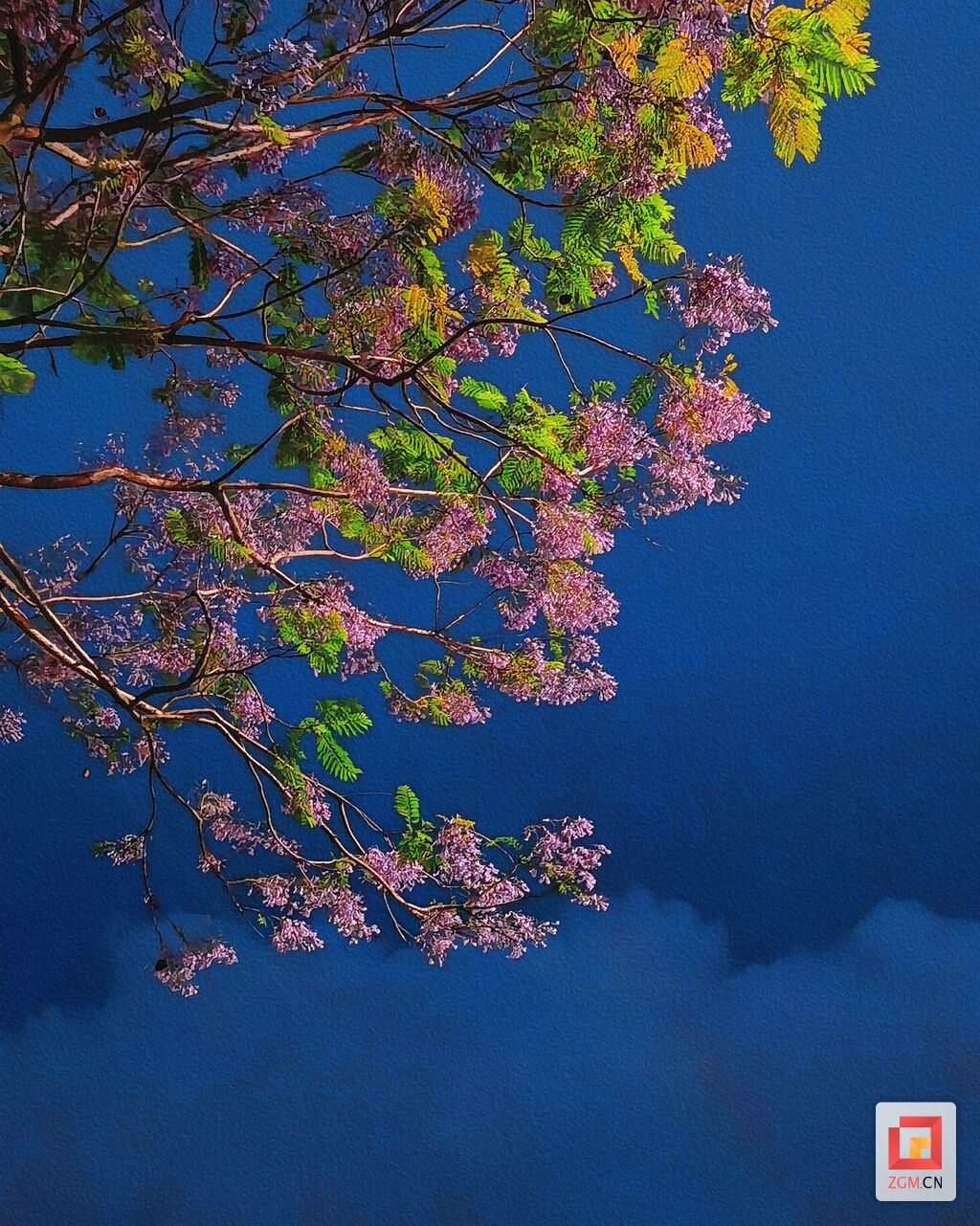 retouch_2023051121424166.jpg