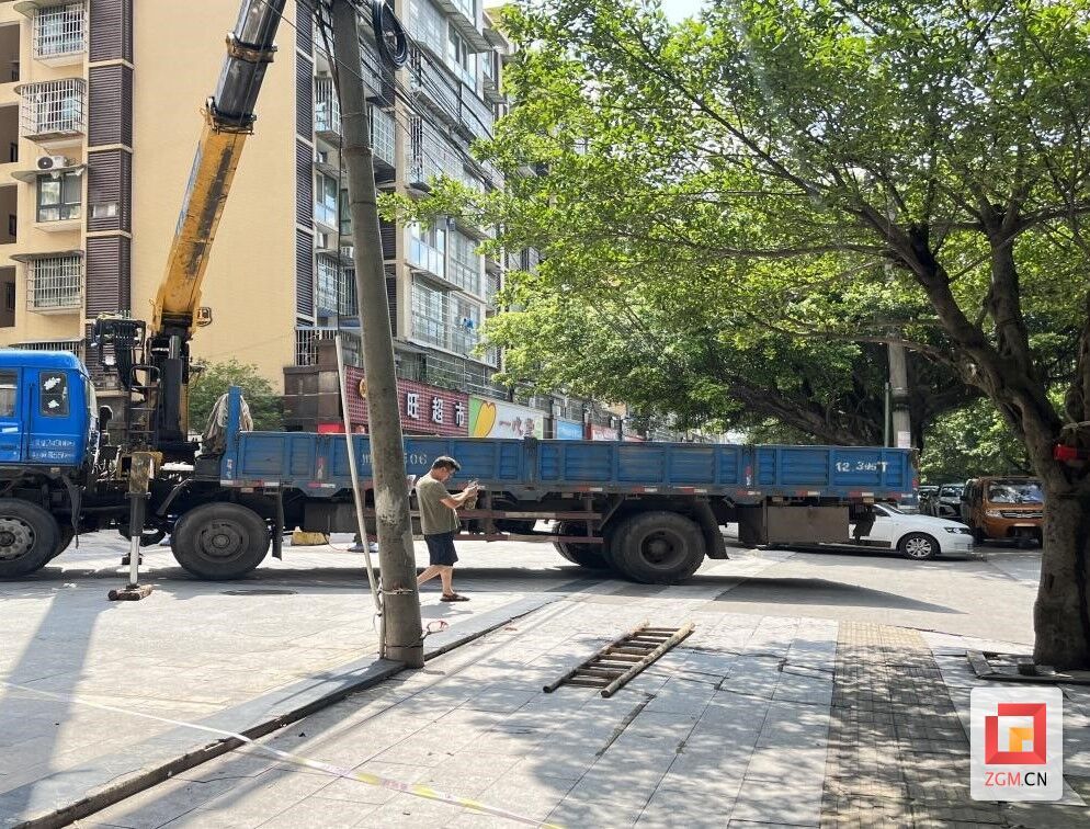 排除電線桿隱患.jpg