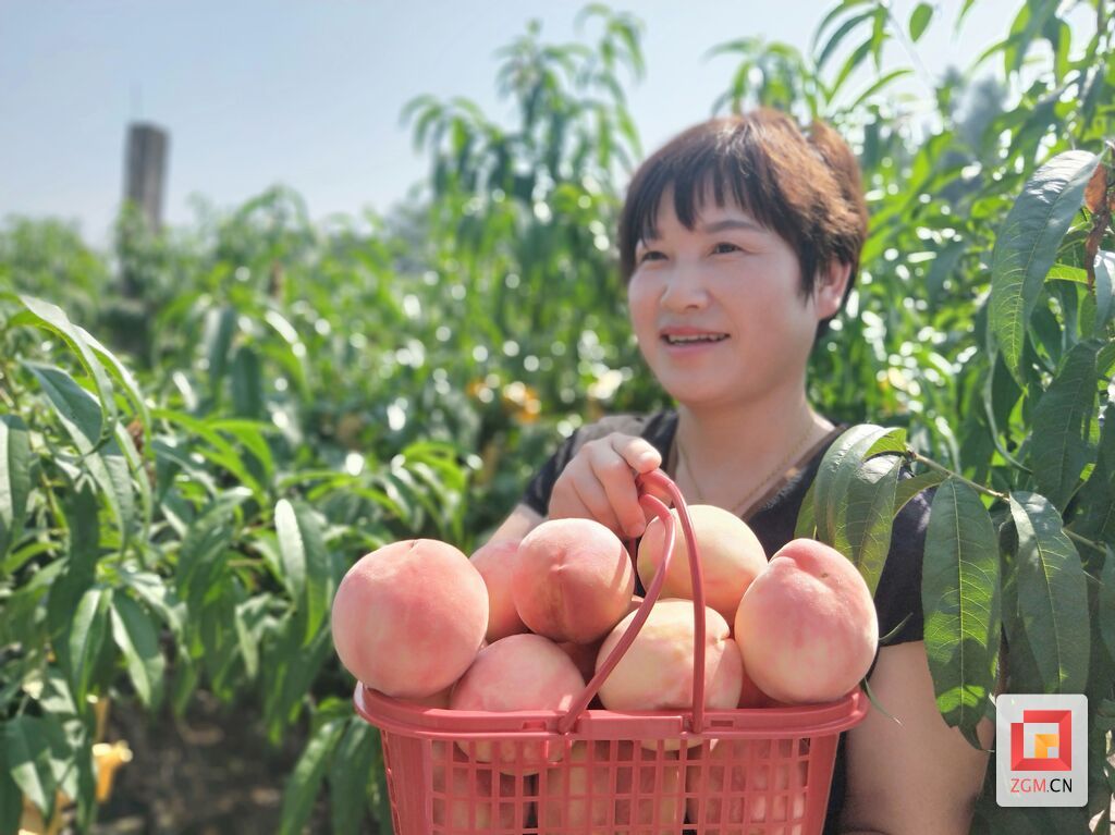 微信圖片_20250611202440.jpg