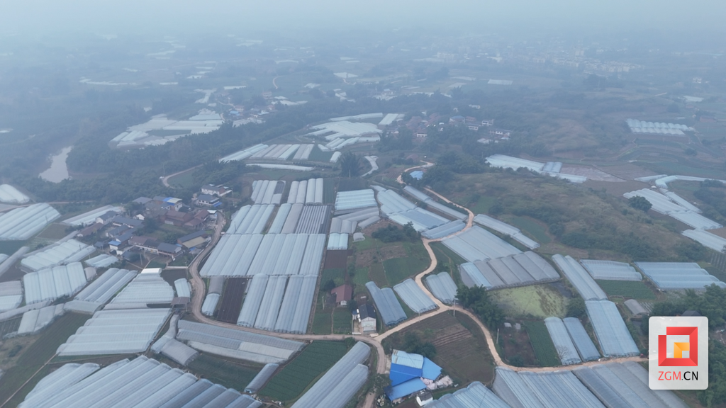 屏幕截图 2025-11-27 113354.png