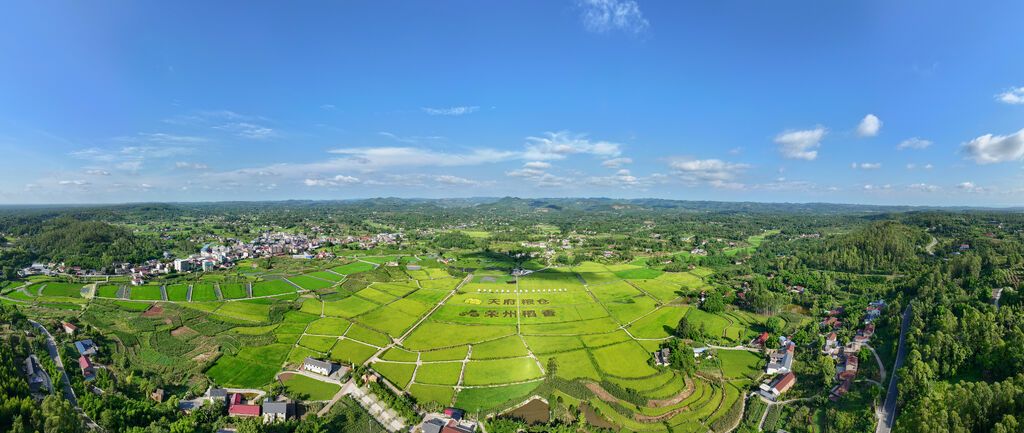 9.刘彬《天府好粮仓》.jpg